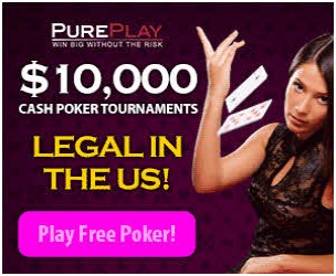 Pureplay Poker Download